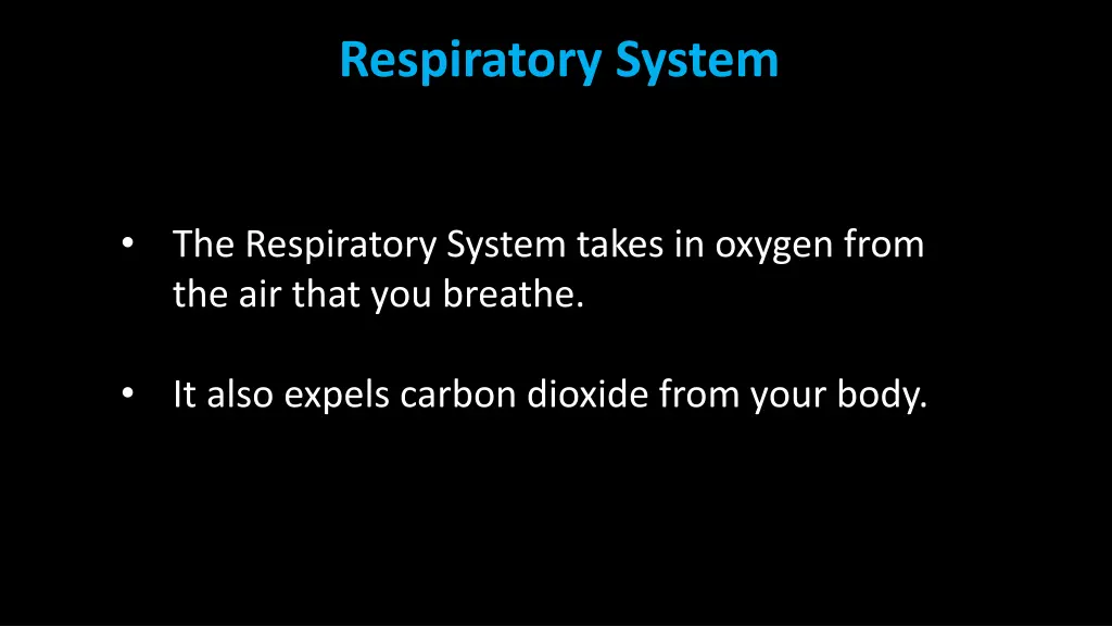 respiratory system