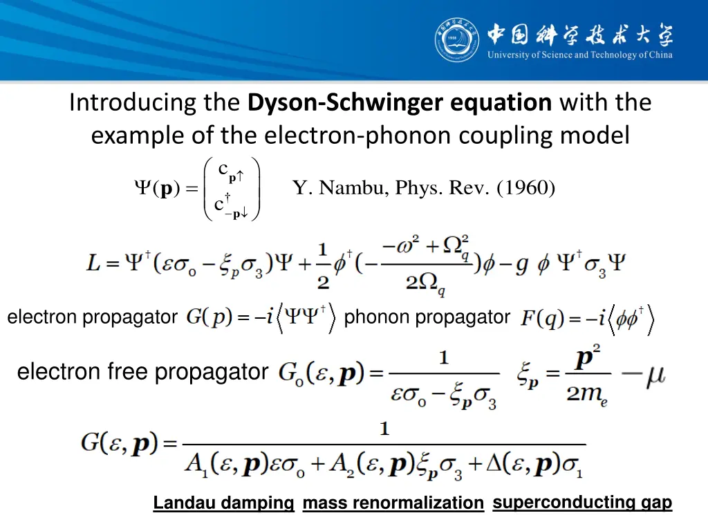 introducing the dyson schwinger equation with