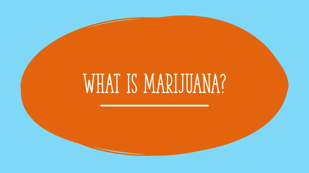 what is marijuana