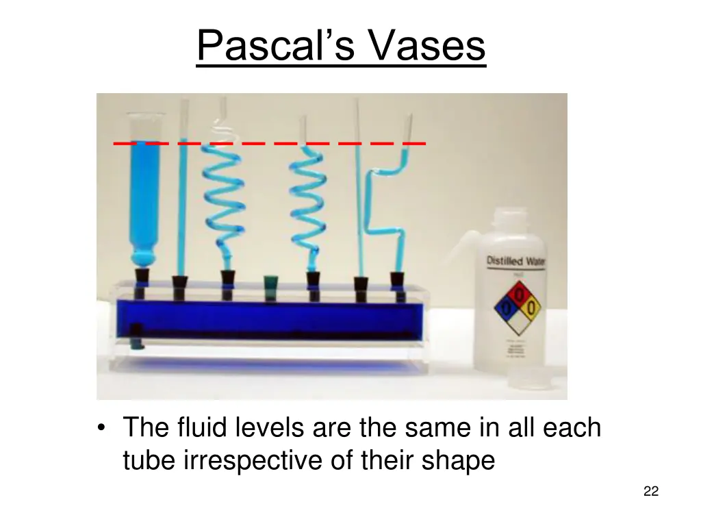 pascal s vases