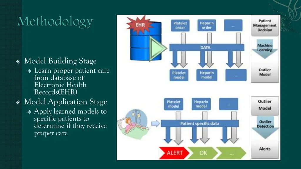 model building stage learn proper patient care