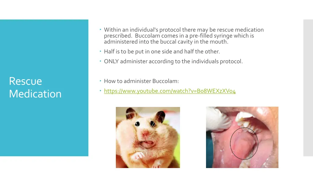 within an individual s protocol there