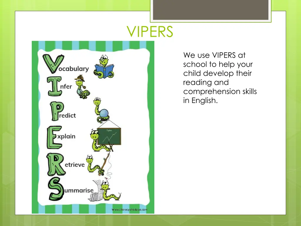 vipers