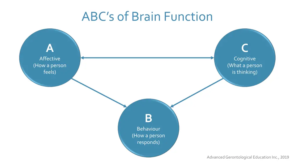 abc s of brain function