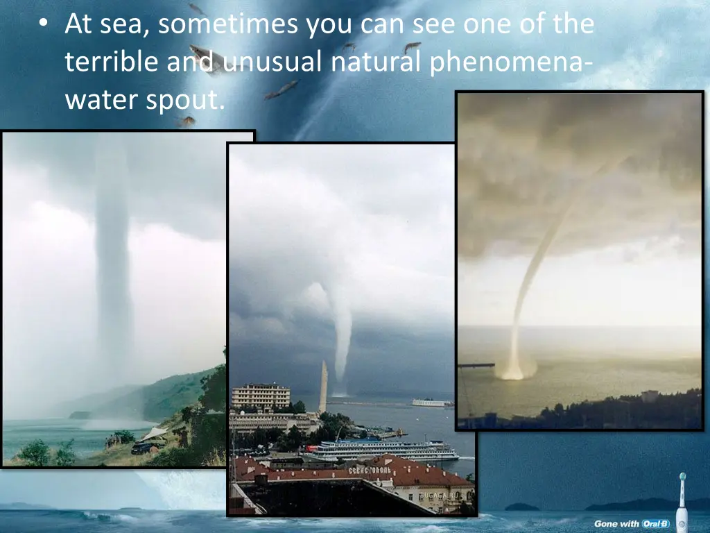 at sea sometimes you can see one of the terrible