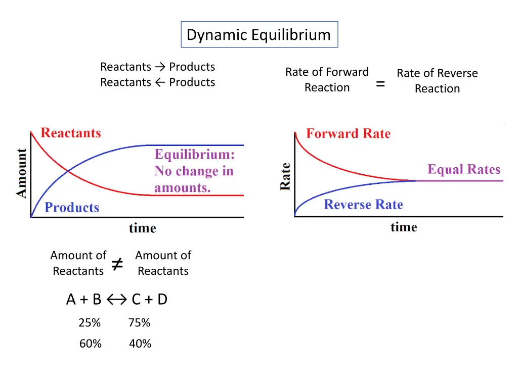 dynamic equilibrium