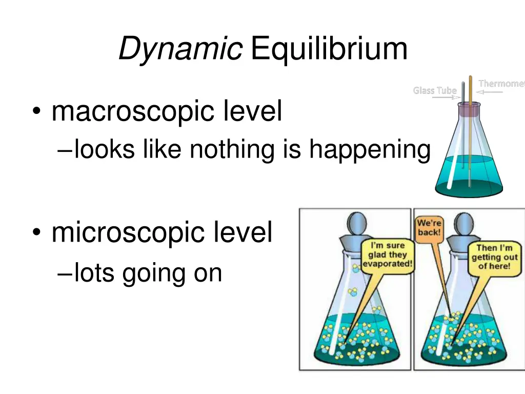dynamic equilibrium