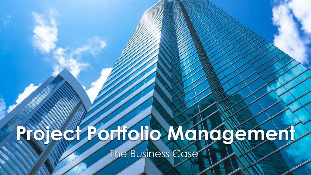 project portfolio management the business case