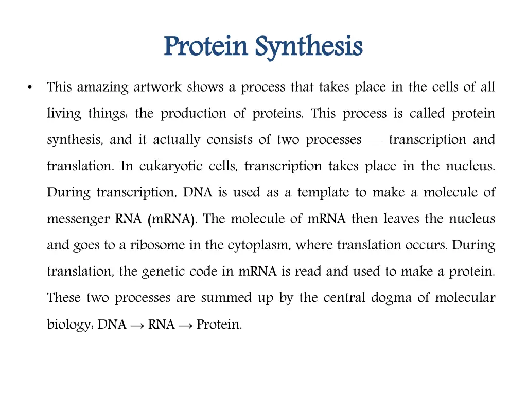 protein