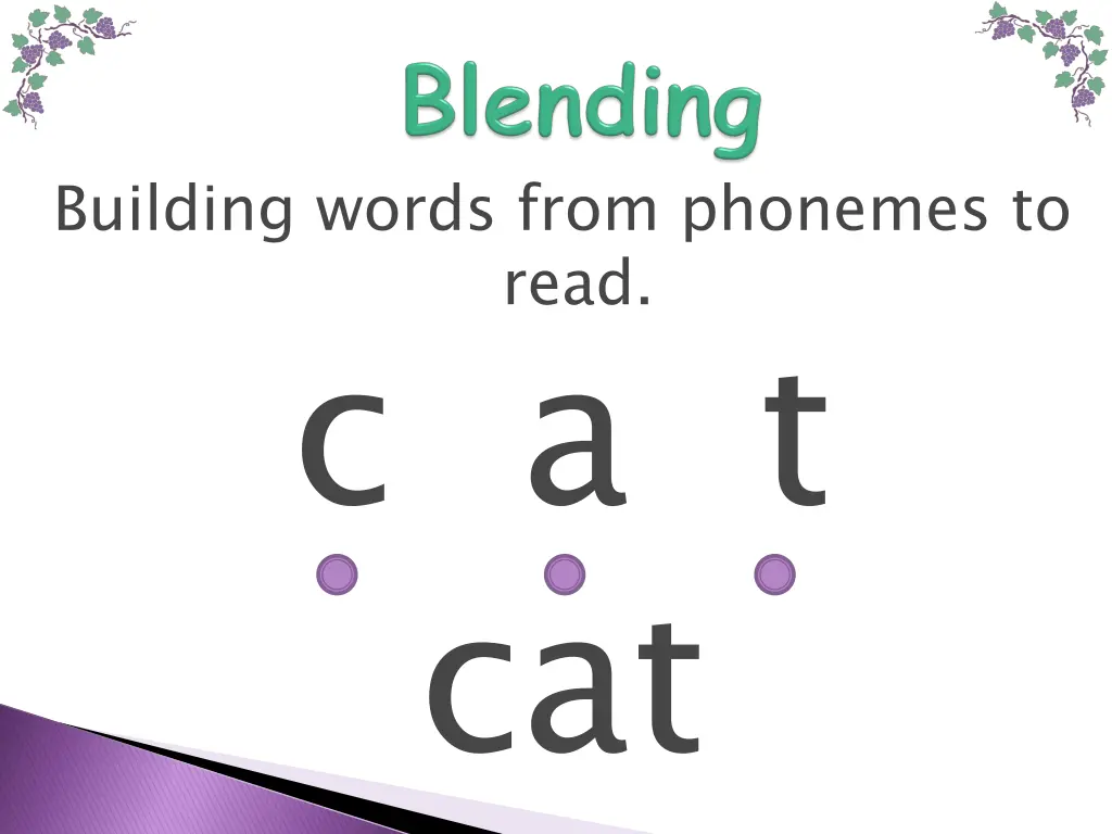 building words from phonemes to read c a t cat