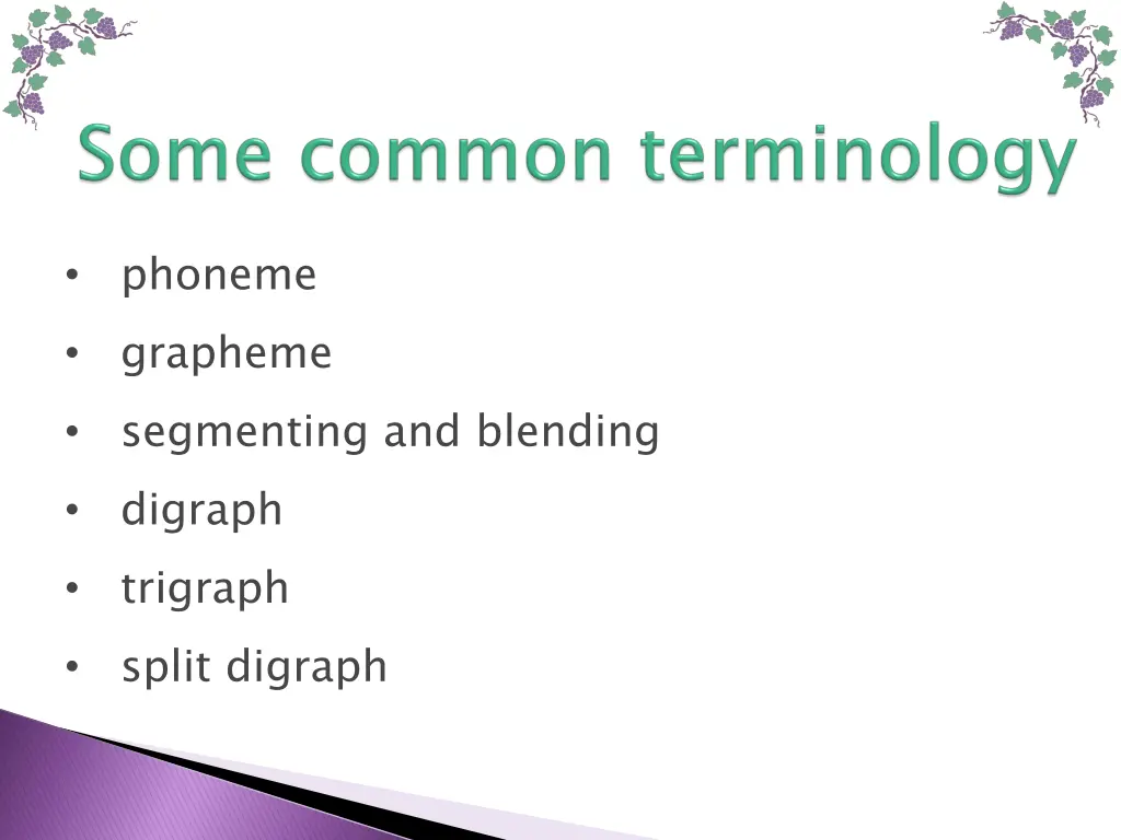 phoneme grapheme segmenting and blending digraph