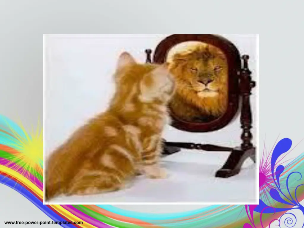 slide17