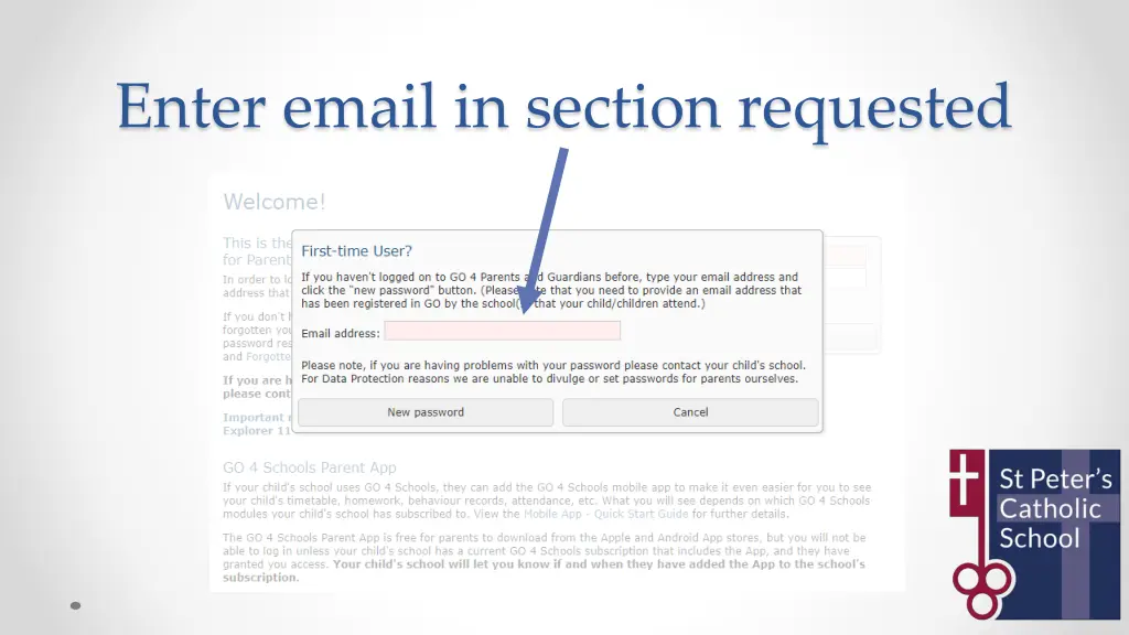 enter email in section requested