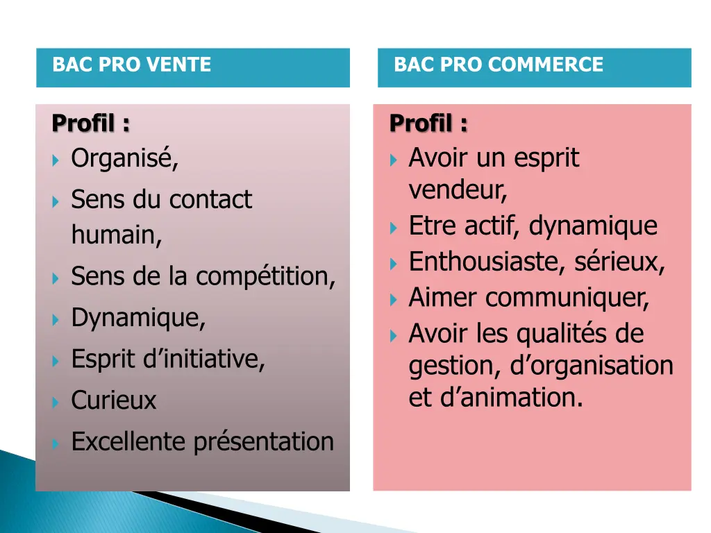 bac pro vente 2
