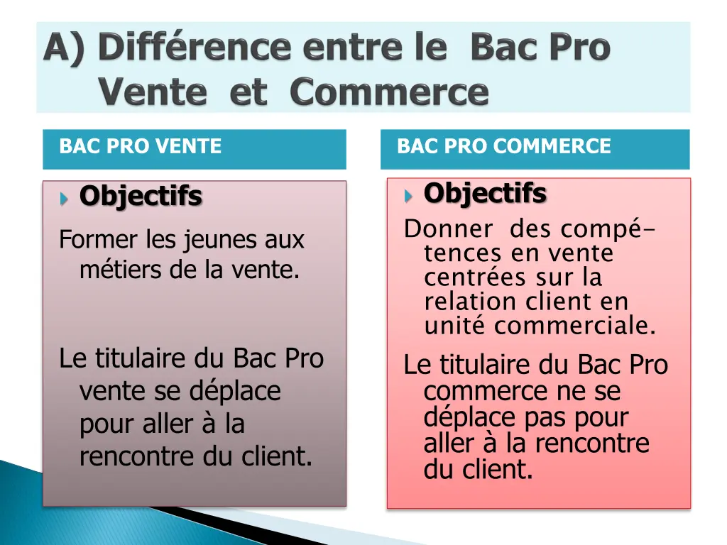 bac pro vente