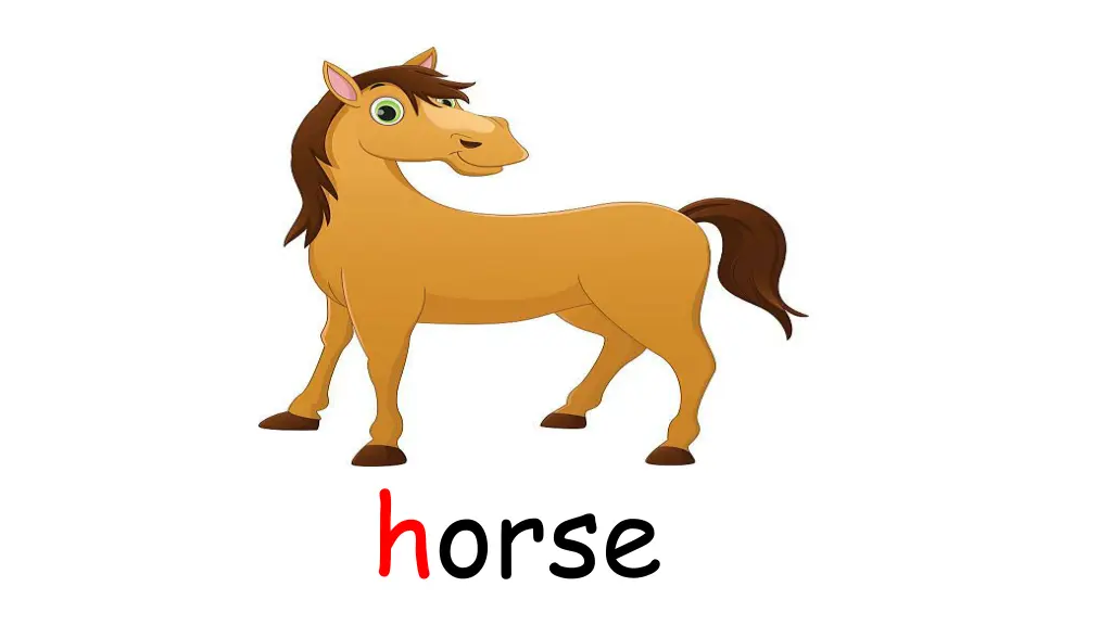 horse