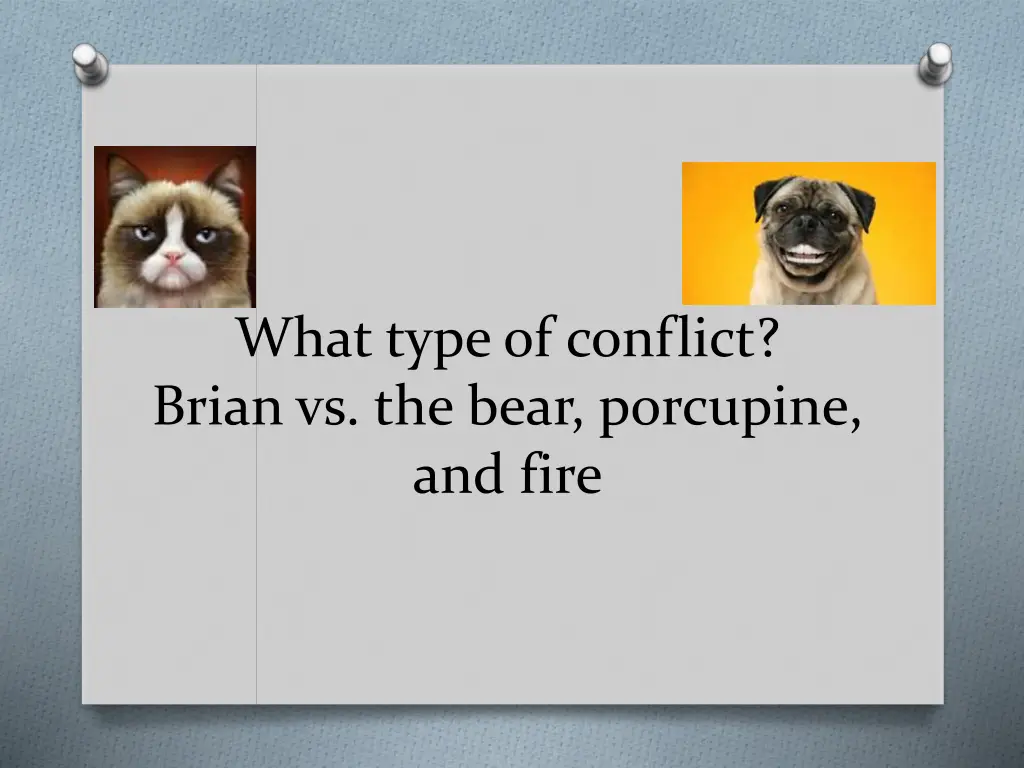 what type of conflict brian vs the bear porcupine