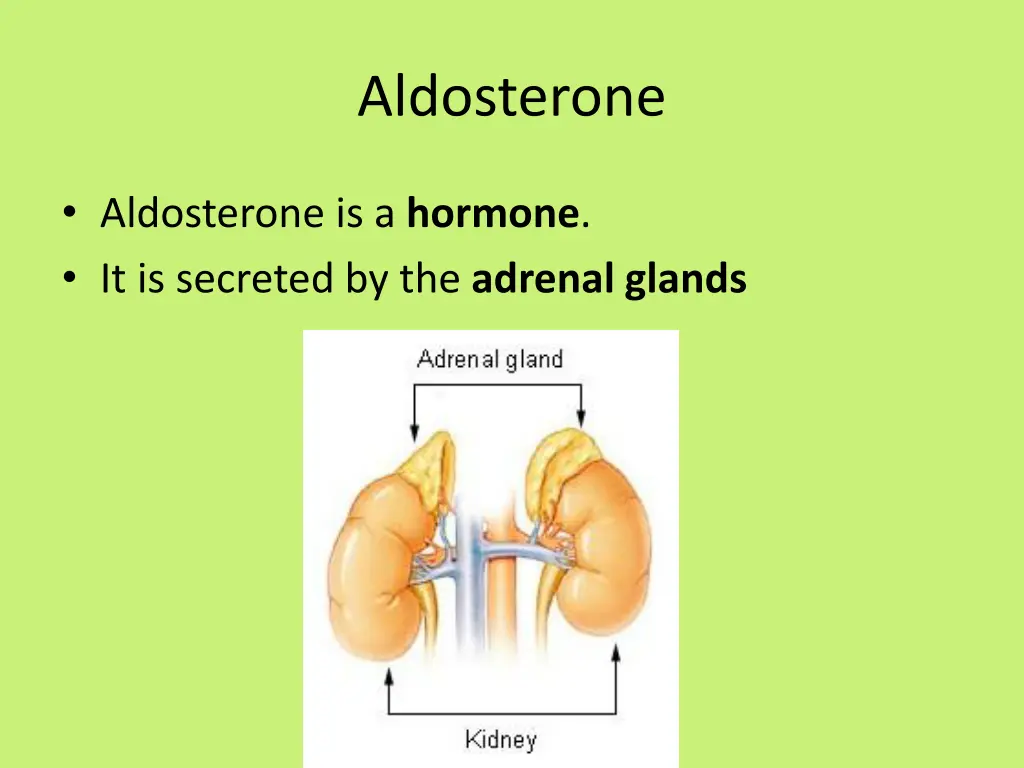 aldosterone 1