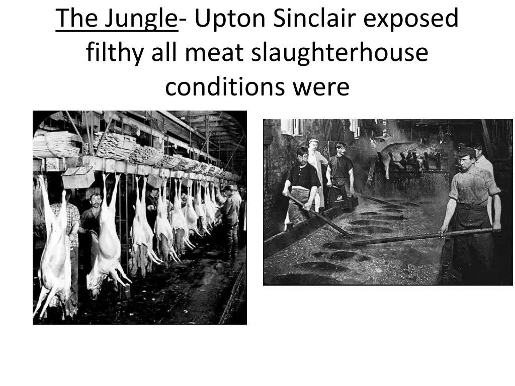 the jungle upton sinclair exposed filthy all meat