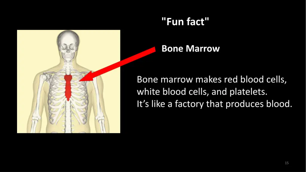 fun fact