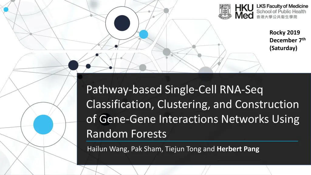 rocky 2019 december 7 th saturday