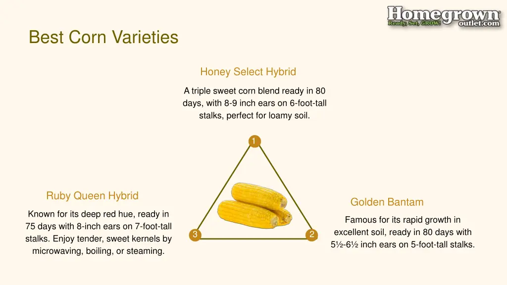 best corn varieties