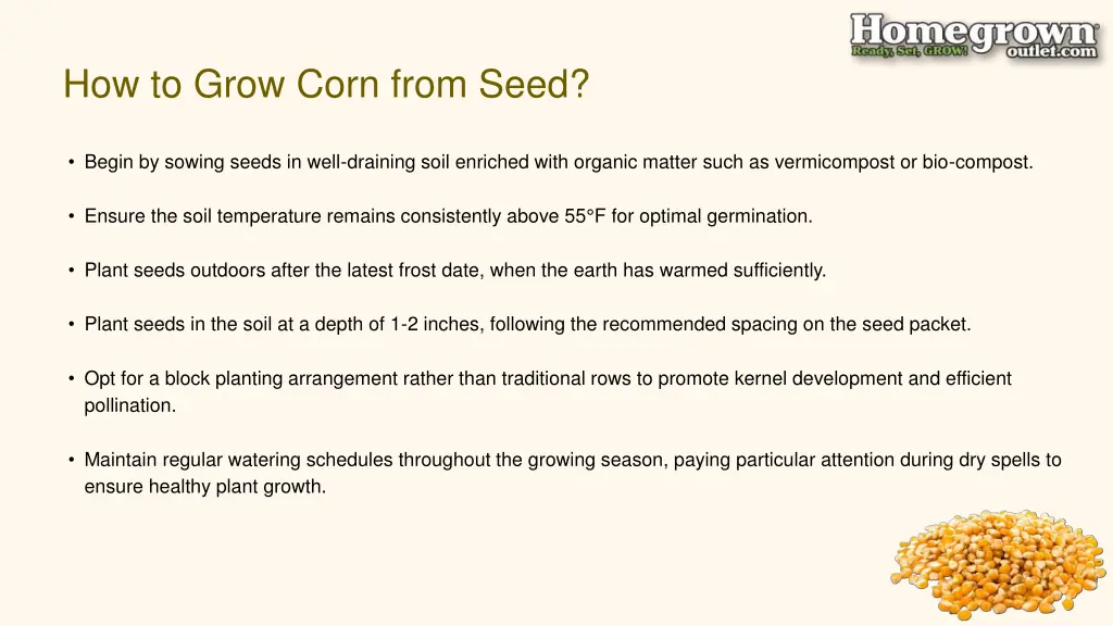 how to grow corn from seed