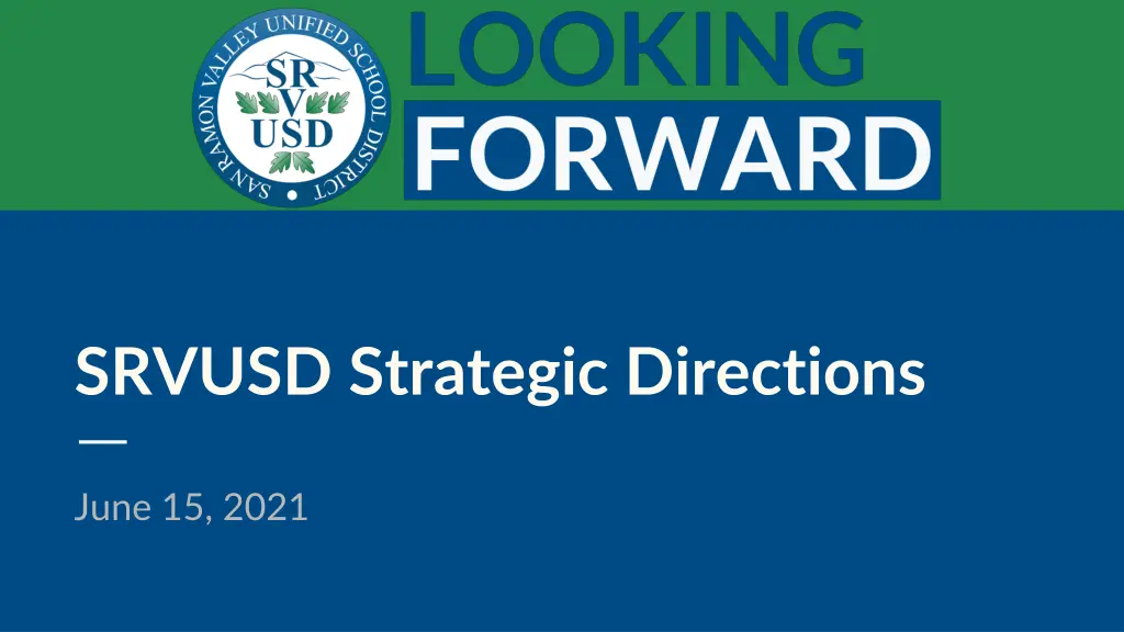 srvusd strategic directions