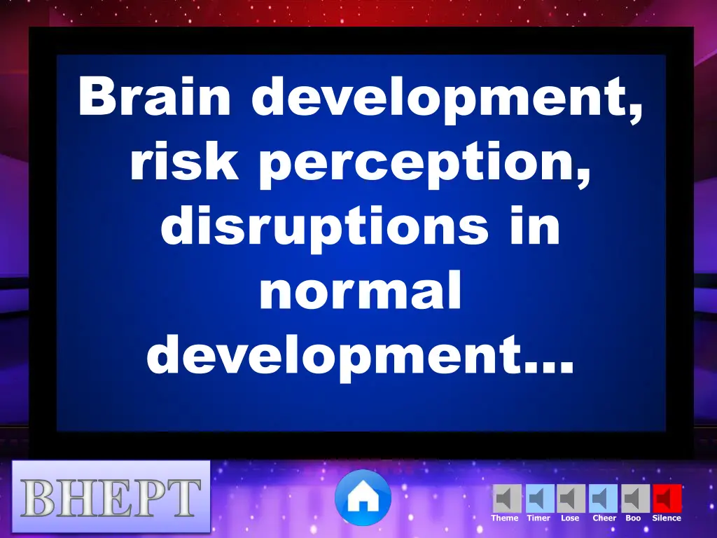 brain development risk perception disruptions