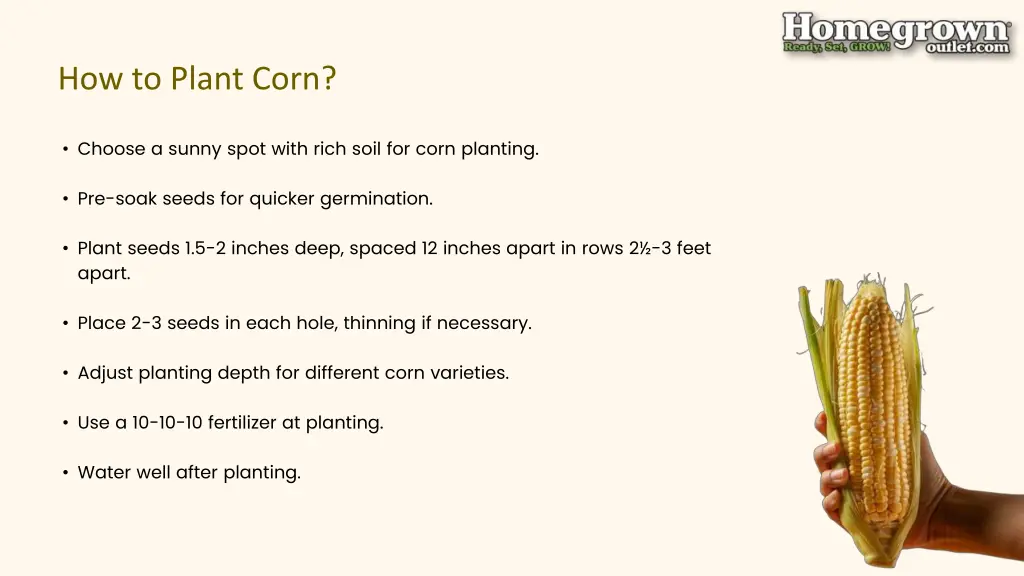 how to plant corn