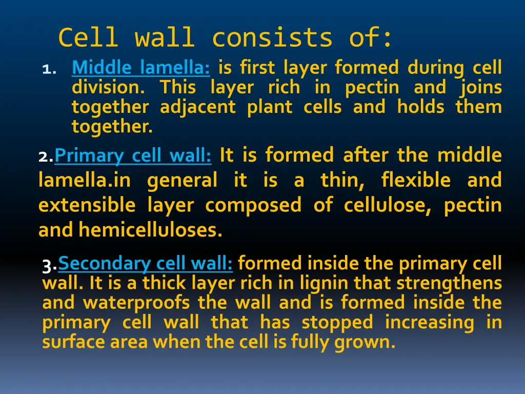 cell wall consists of 1 middle lamella is first