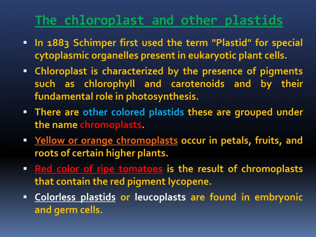 the chloroplast and other plastids