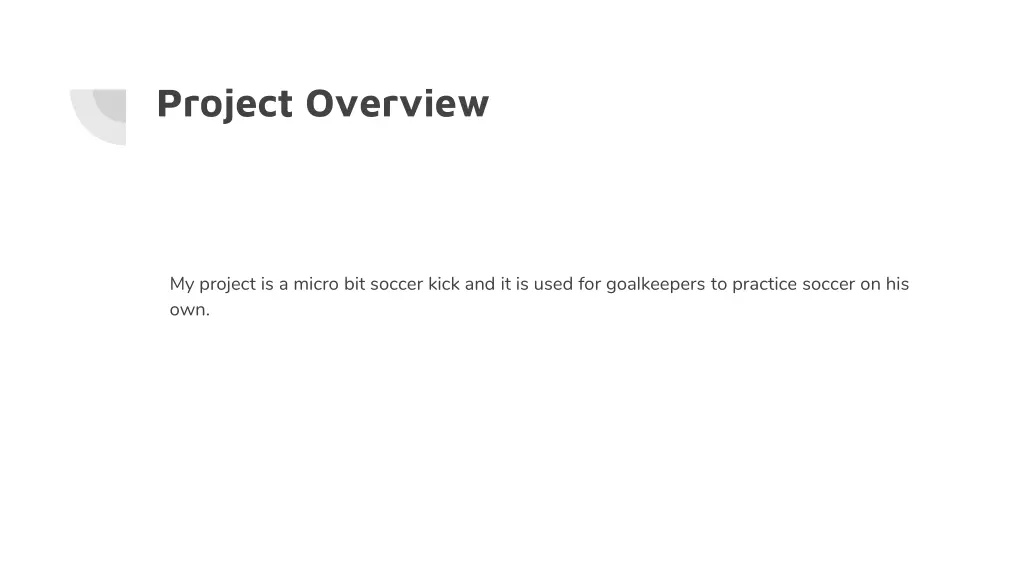 project overview