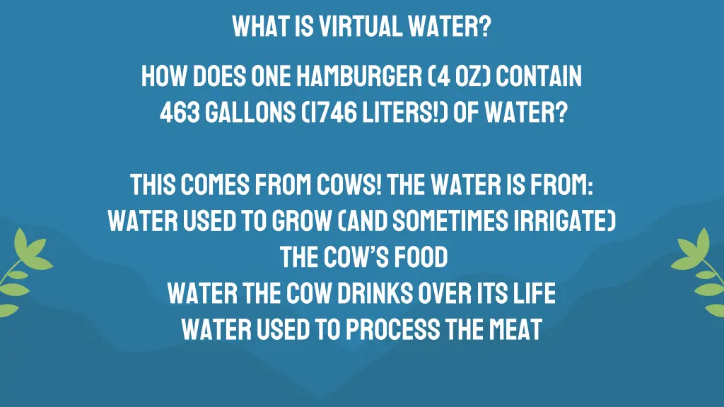 what is virtual water how does one hamburger
