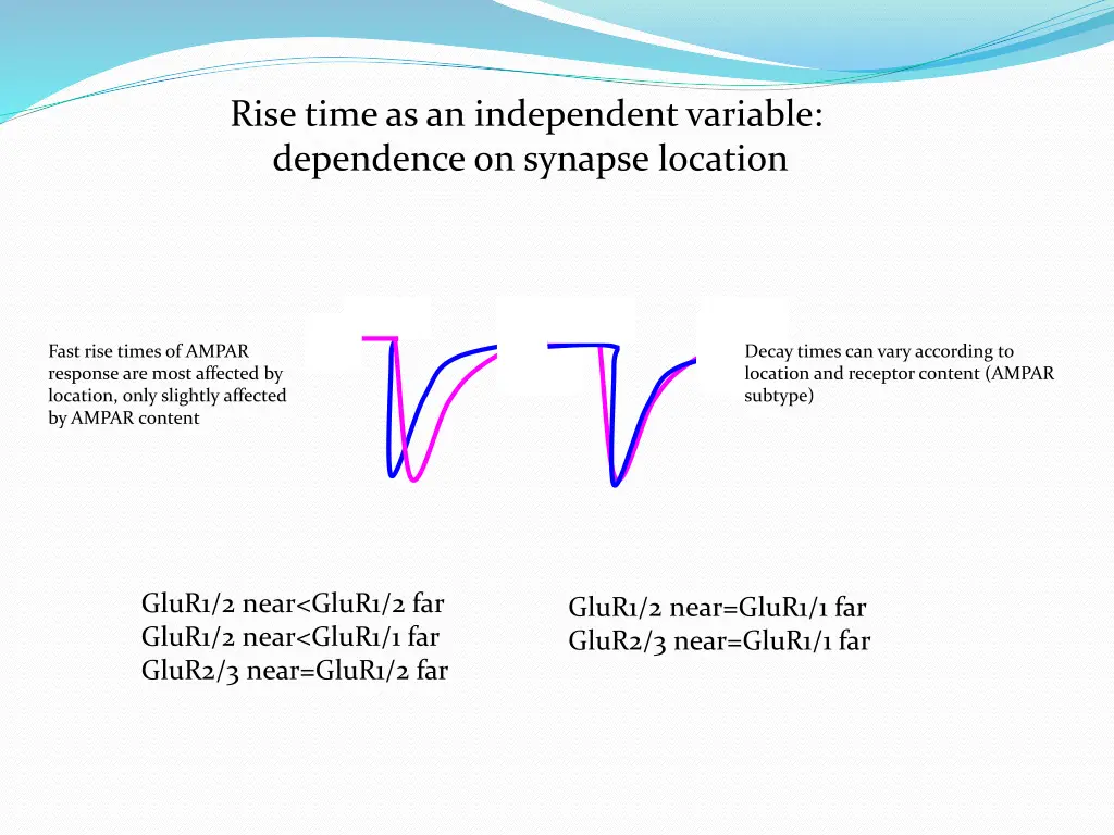 rise time as an independent variable dependence