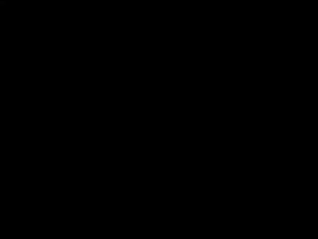 slide11