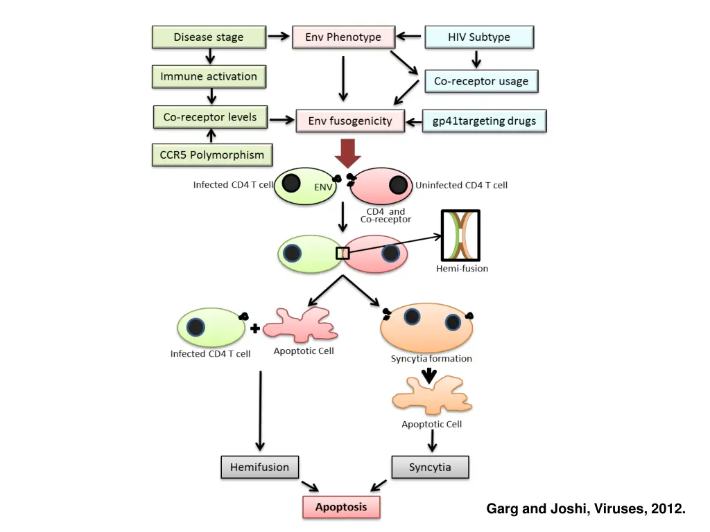 garg and joshi viruses 2012