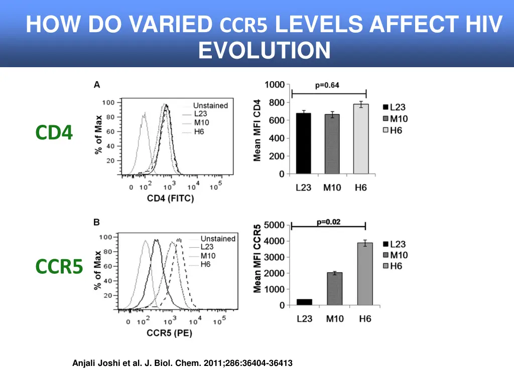 how do varied ccr5 levels affect hiv evolution