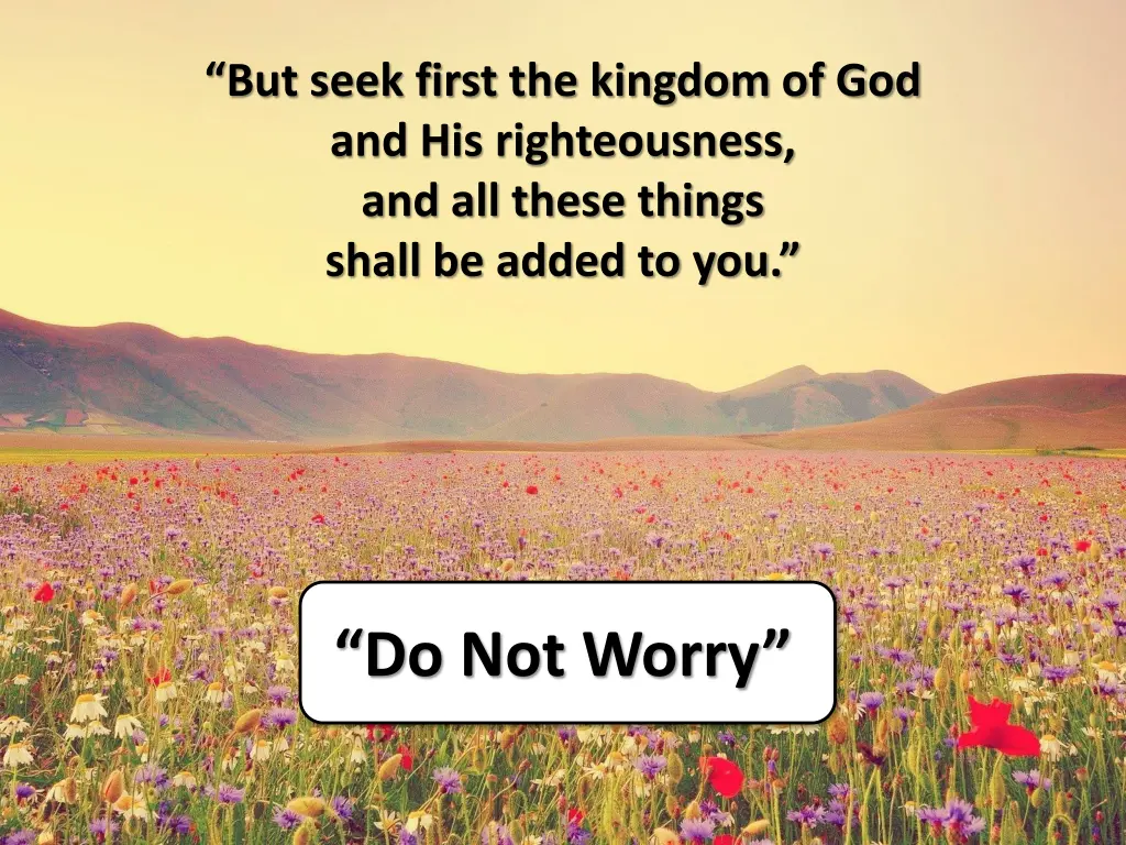 but seek first the kingdom