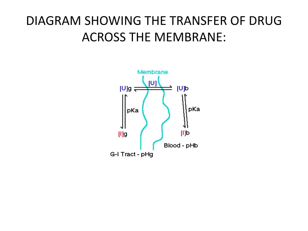 diagram showing the transfer of drug across