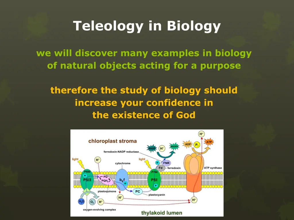 teleology in biology 1
