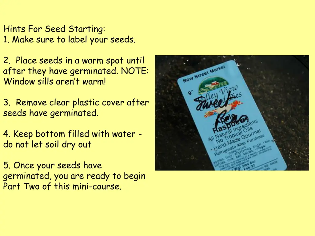 hints for seed starting 1 make sure to label your