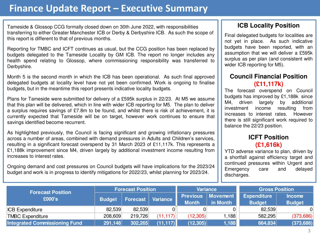 finance update report executive summary
