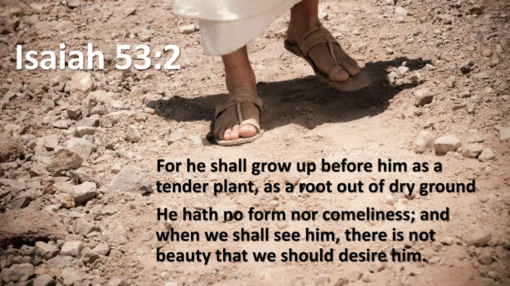 isaiah 53 2