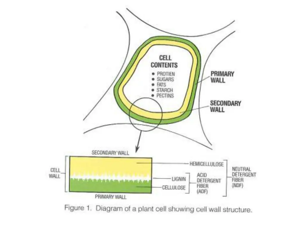 slide11