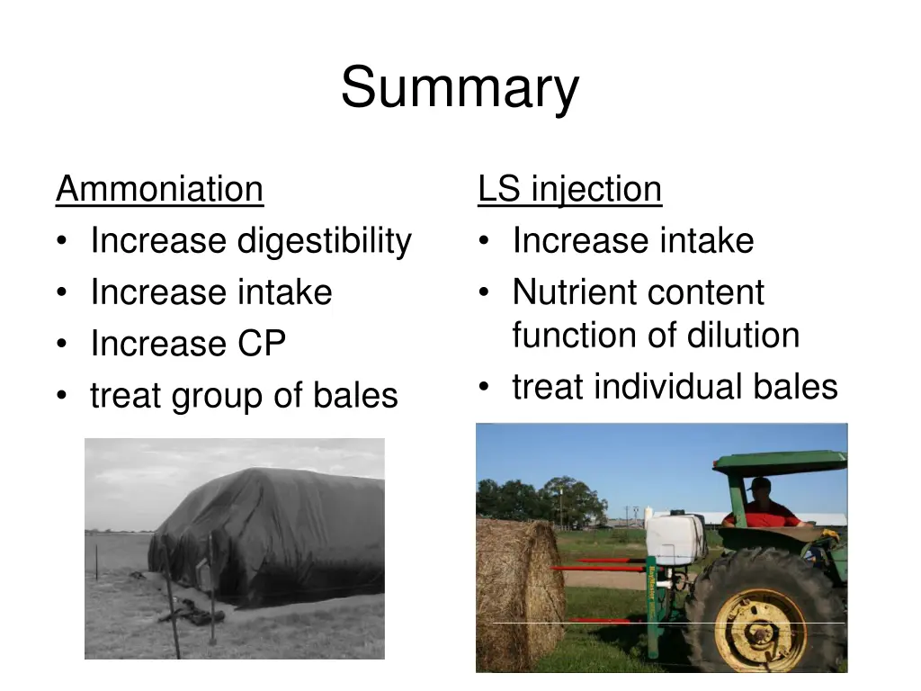 summary