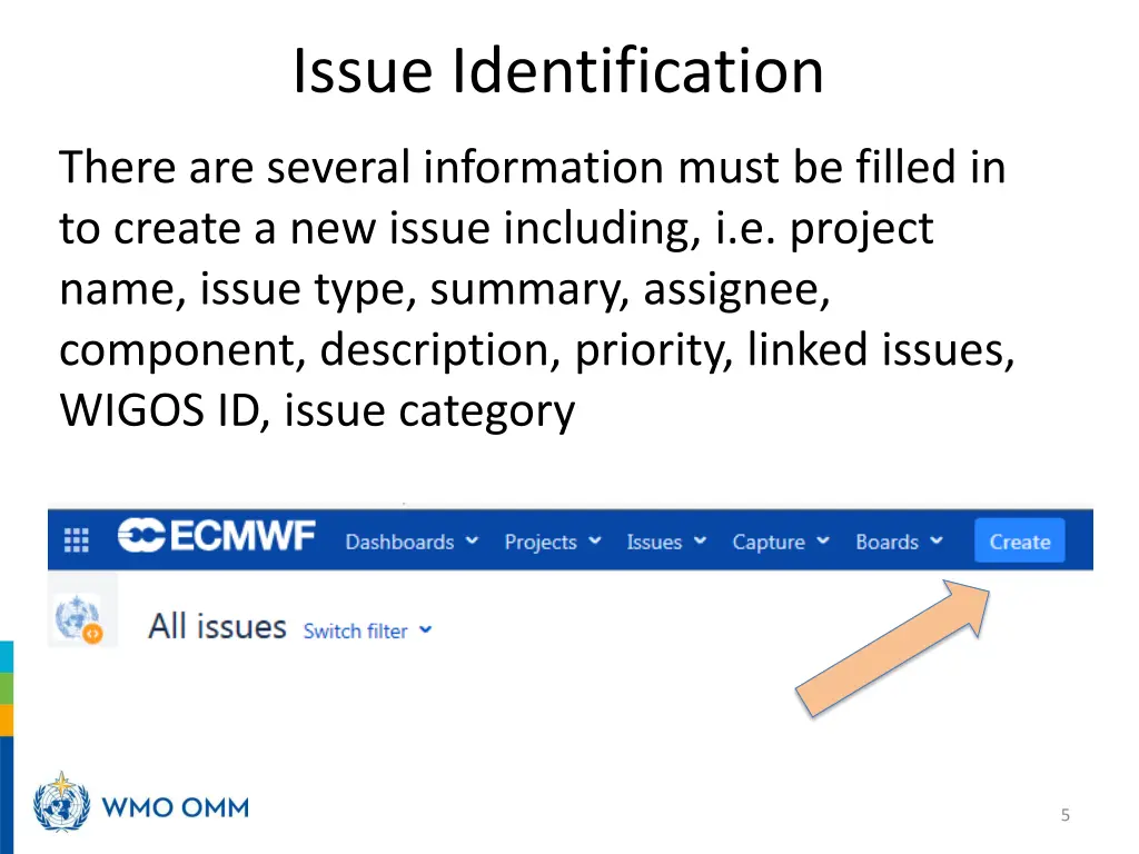 issue identification