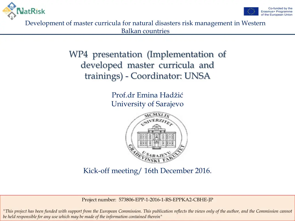 development of master curricula for natural 1