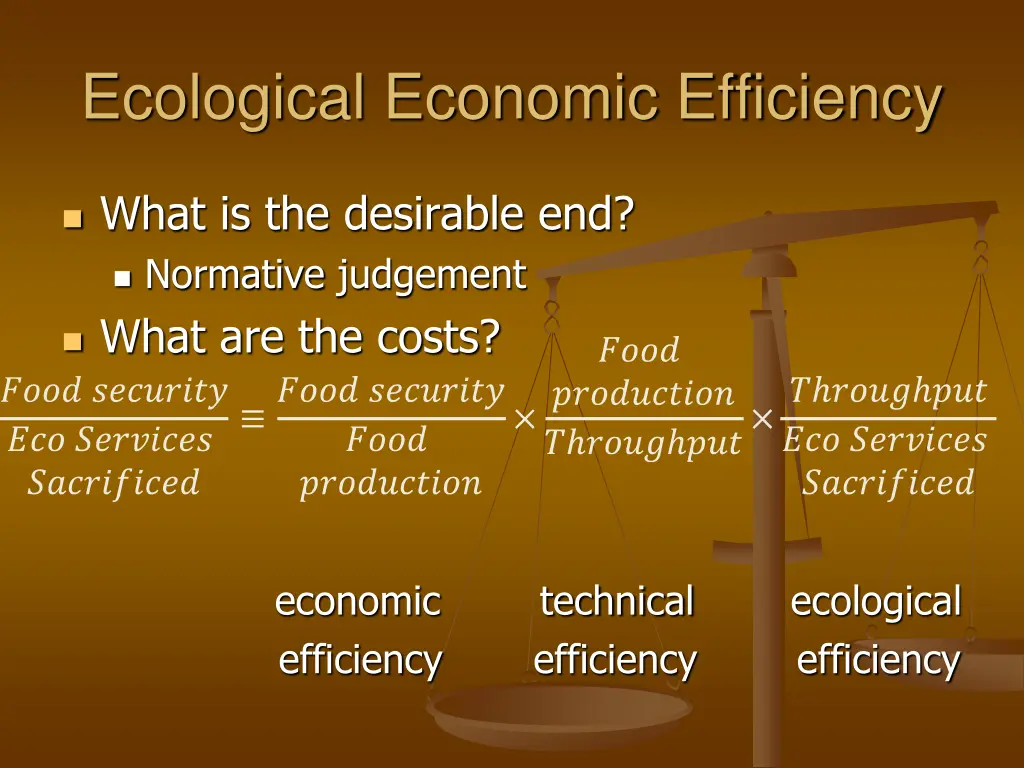 ecological economic efficiency