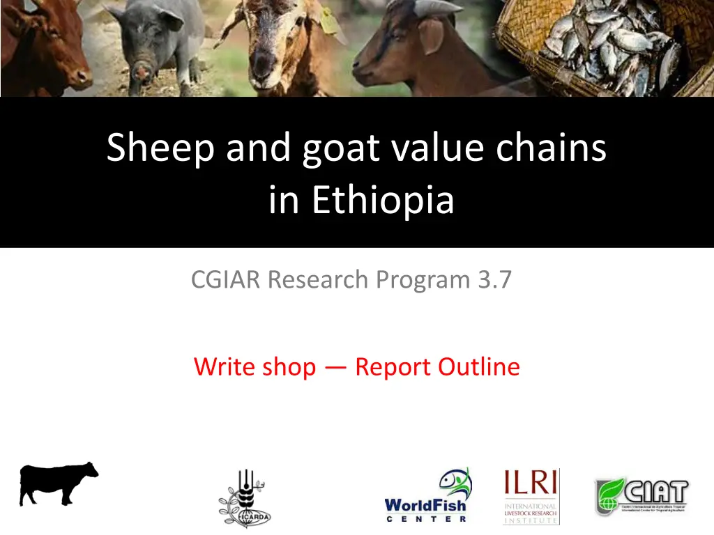 sheep and goat value chains in ethiopia